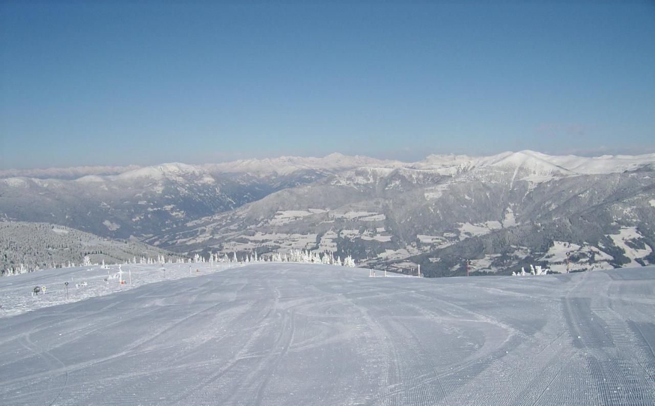 Wald - Im Skigebiet Gerlitzen & Ossiacher Apartment Bodensdorf