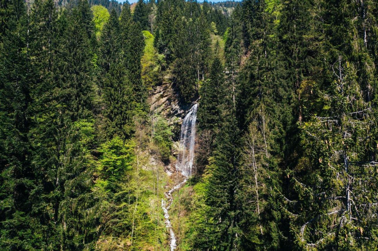 Wald - Im Skigebiet Gerlitzen & Ossiacher Apartment