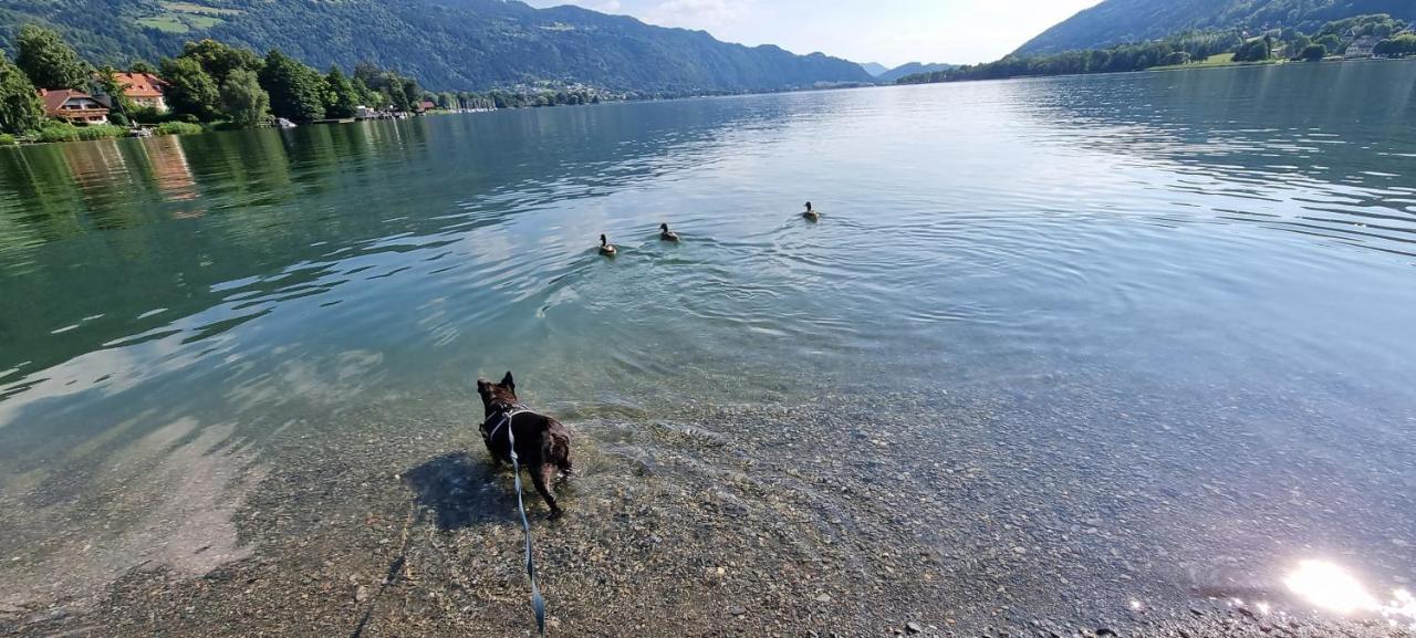 Apartment Wald - Im Skigebiet Gerlitzen & Ossiacher *