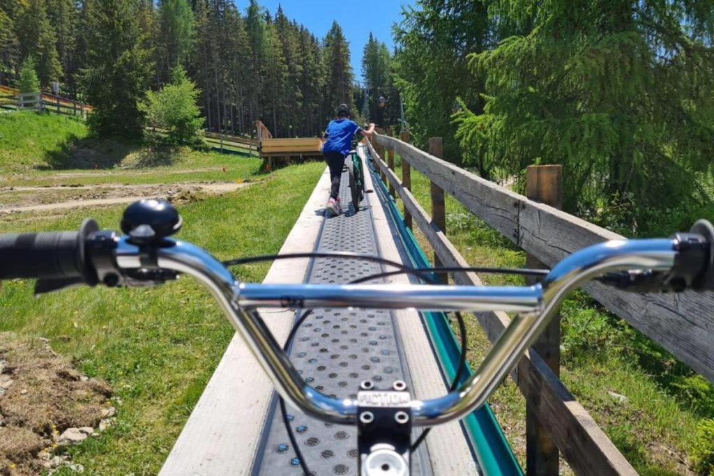 Wald - Im Skigebiet Gerlitzen & Ossiacher Apartment Bodensdorf