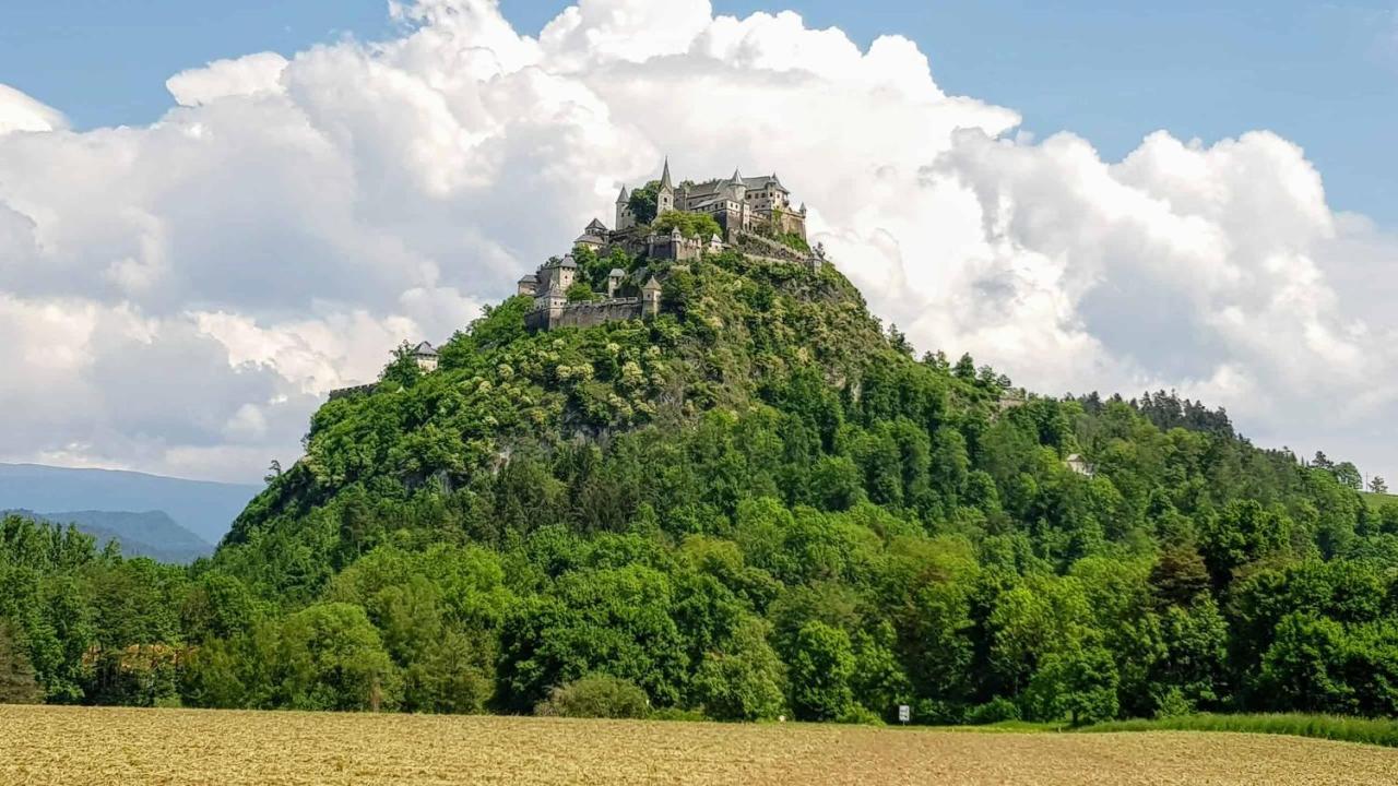 Wald - Im Skigebiet Gerlitzen & Ossiacher Apartment Bodensdorf