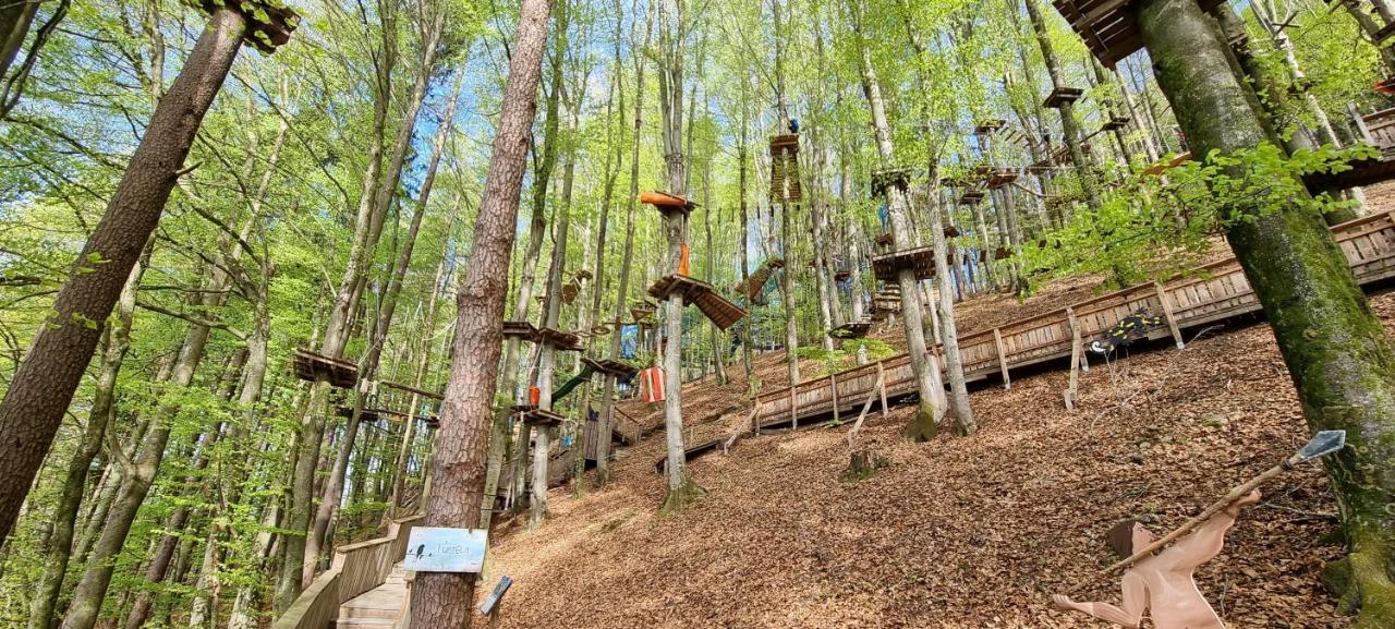 Wald - Im Skigebiet Gerlitzen & Ossiacher Apartment Bodensdorf
